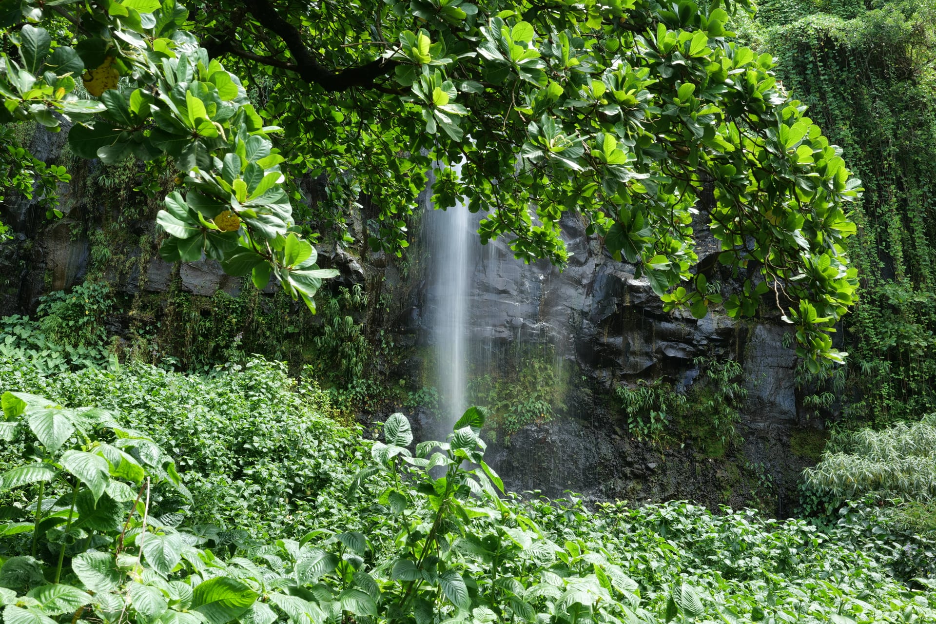 Anse des Cascades à Sainte-Rose, La Réunion – cascades tropicales et cocotiers